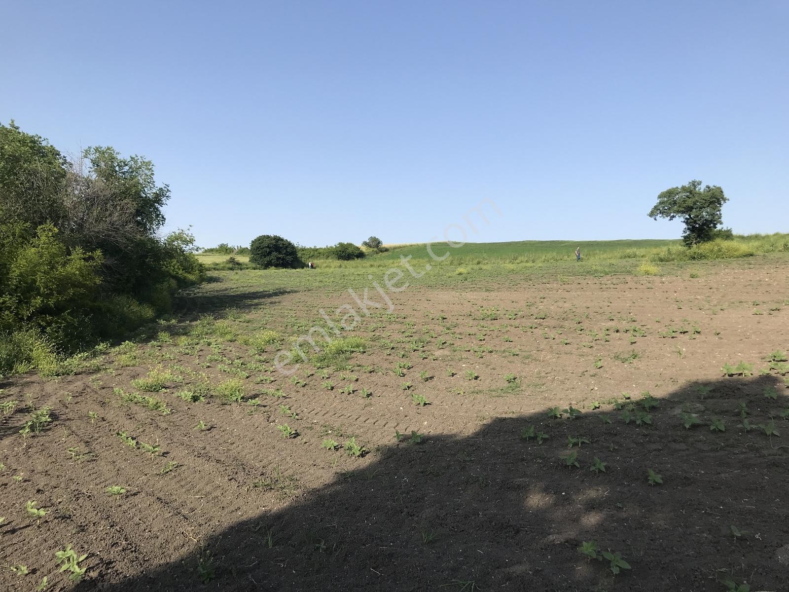 Bursa Mustafakemalpaşa Kosovada 6.920 M² Satılık Arazi — fotoğraf 8
