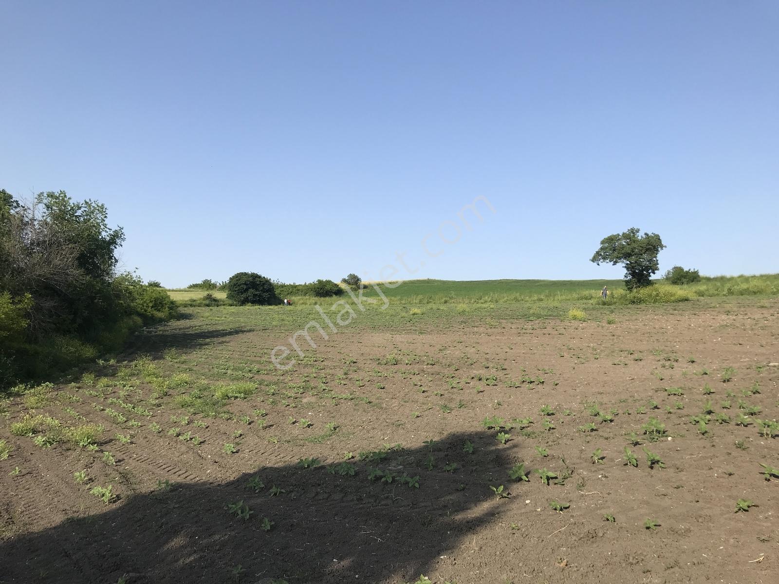 Bursa Mustafakemalpaşa Kosovada 6.920 M² Satılık Arazi — fotoğraf 10