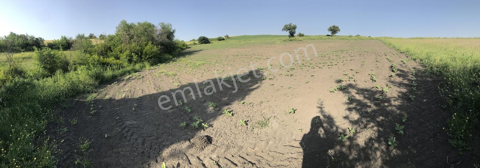 Bursa Mustafakemalpaşa Kosovada 6.920 M² Satılık Arazi — fotoğraf 11