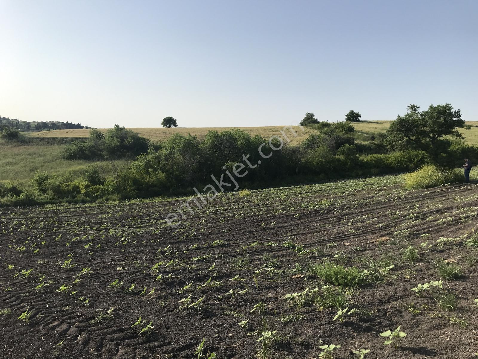 Bursa Mustafakemalpaşa Kosovada 6.920 M² Satılık Arazi — fotoğraf 13