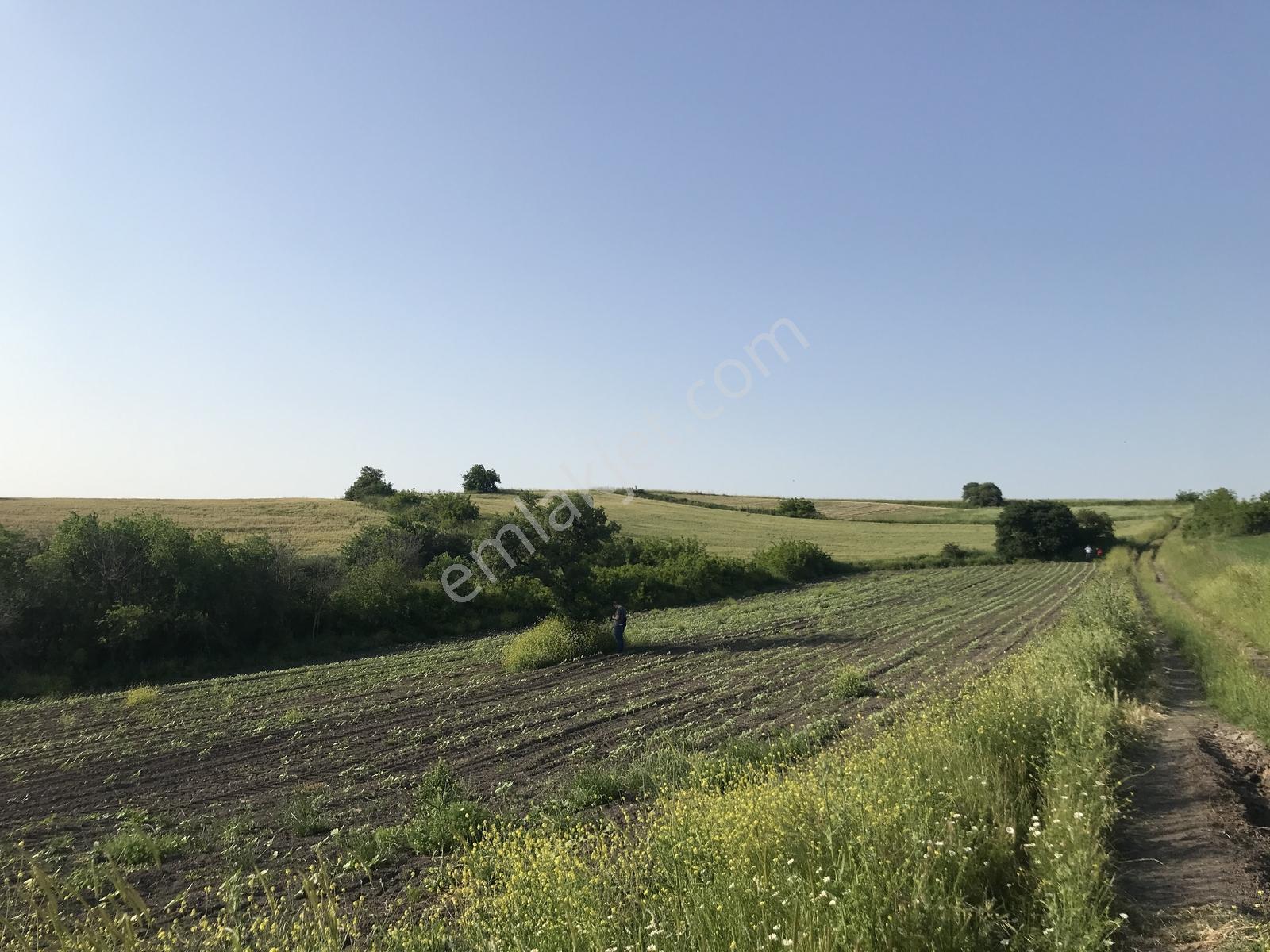 Bursa Mustafakemalpaşa Kosovada 6.920 M² Satılık Arazi — fotoğraf 14