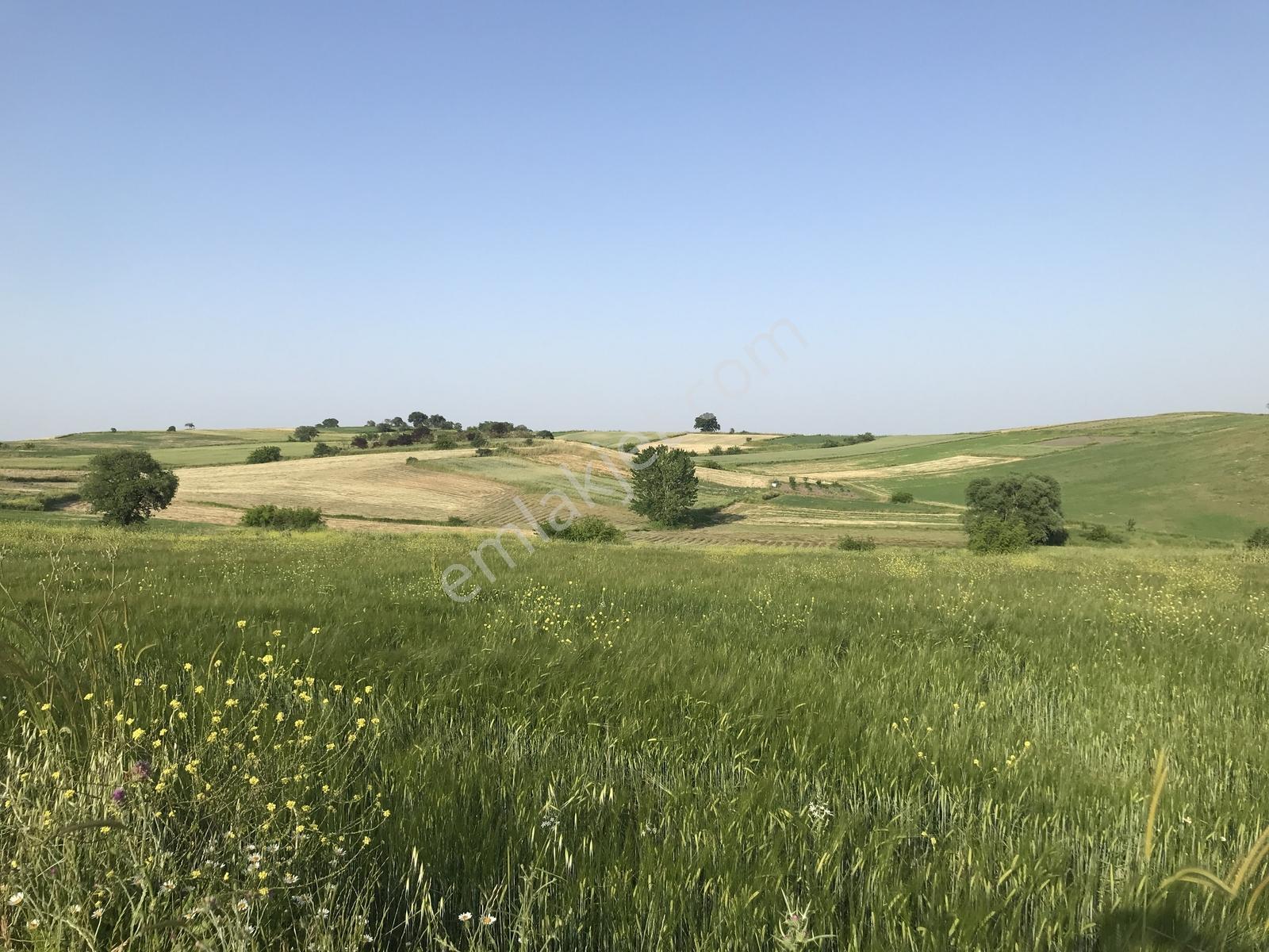 Bursa Mustafakemalpaşa Kosovada 6.920 M² Satılık Arazi — fotoğraf 15