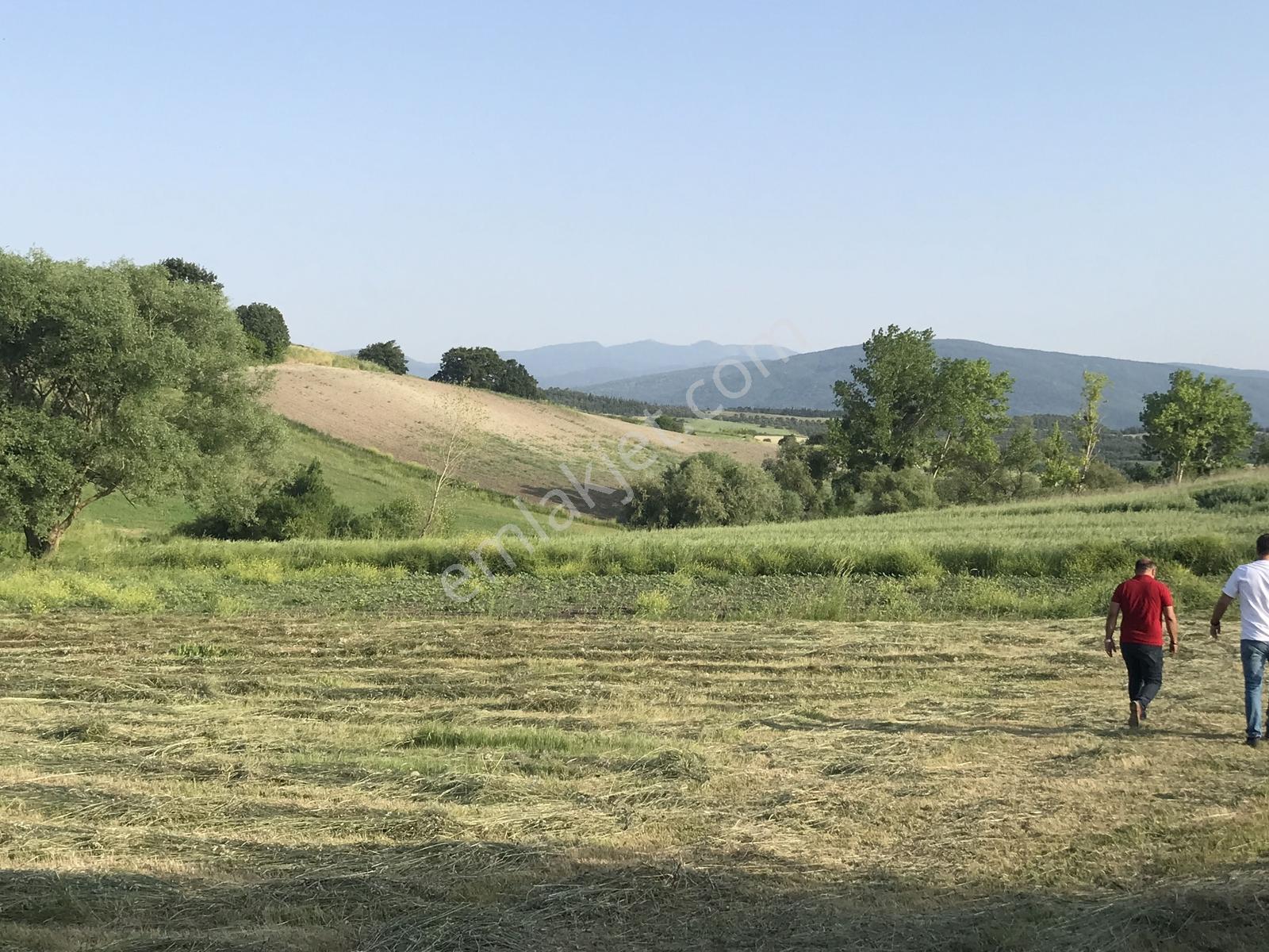 Bursa Mustafakemalpaşa Kosovada 6.920 M² Satılık Arazi — fotoğraf 17