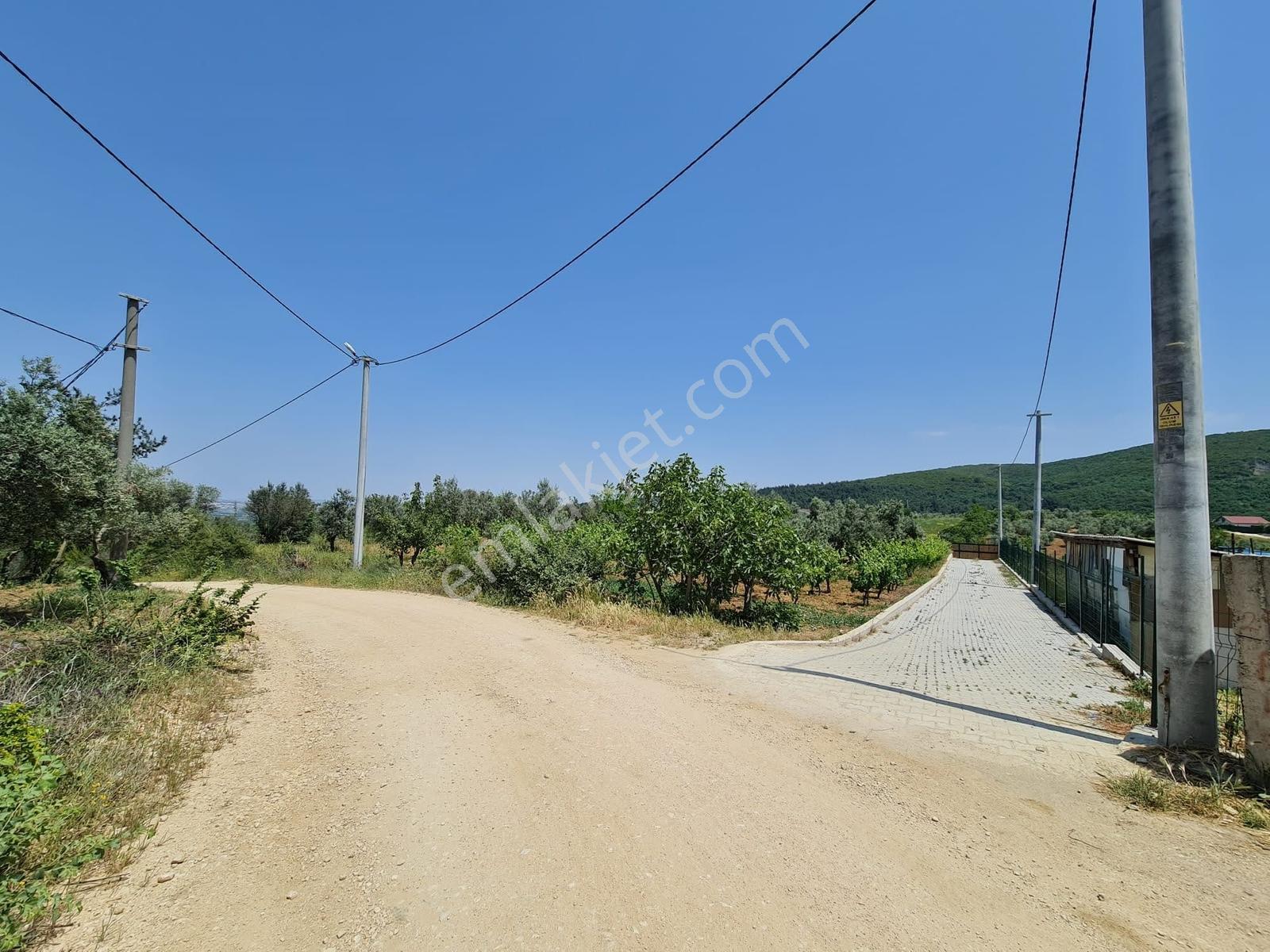 Bursa Mustafakemalpaşa Kosovada 6.920 M² Satılık Arazi — fotoğraf 18