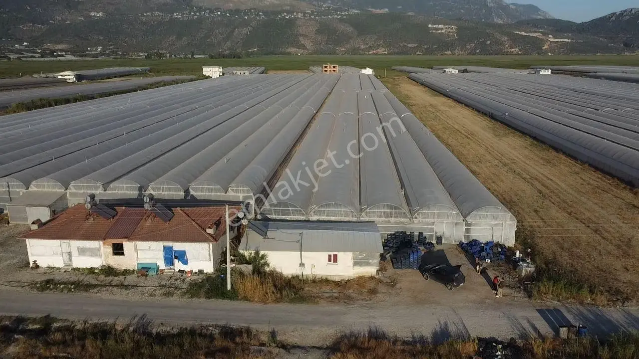Antalya Kaş Kınık Göçebeler Göl Mevkii 2. Parselde Satılık Sera — fotoğraf 3