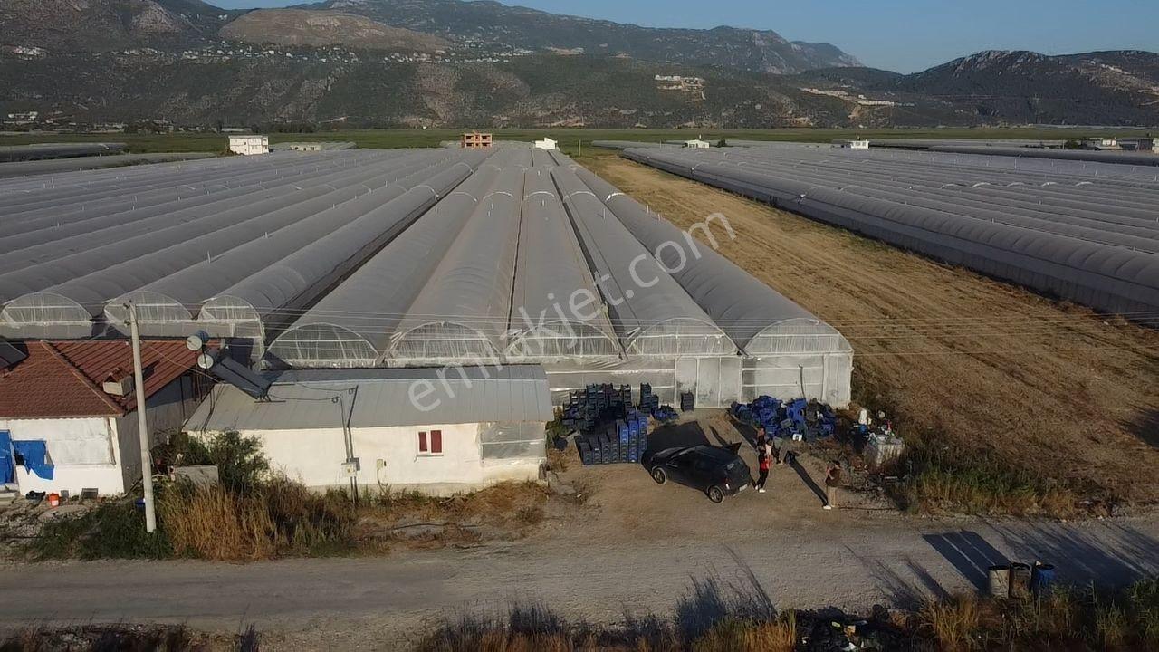 Antalya Kaş Kınık Göçebeler Göl Mevkii 2. Parselde Satılık Sera — fotoğraf 6