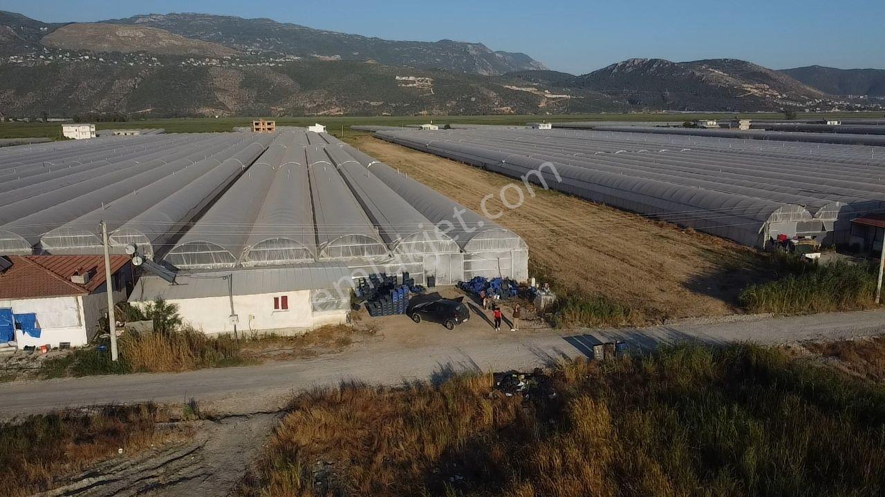 Antalya Kaş Kınık Göçebeler Göl Mevkii 2. Parselde Satılık Sera — fotoğraf 7