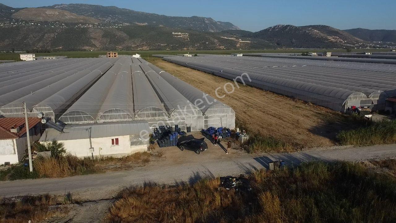 Antalya Kaş Kınık Göçebeler Göl Mevkii 2. Parselde Satılık Sera — fotoğraf 8