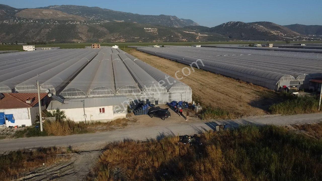 Antalya Kaş Kınık Göçebeler Göl Mevkii 2. Parselde Satılık Sera — fotoğraf 9