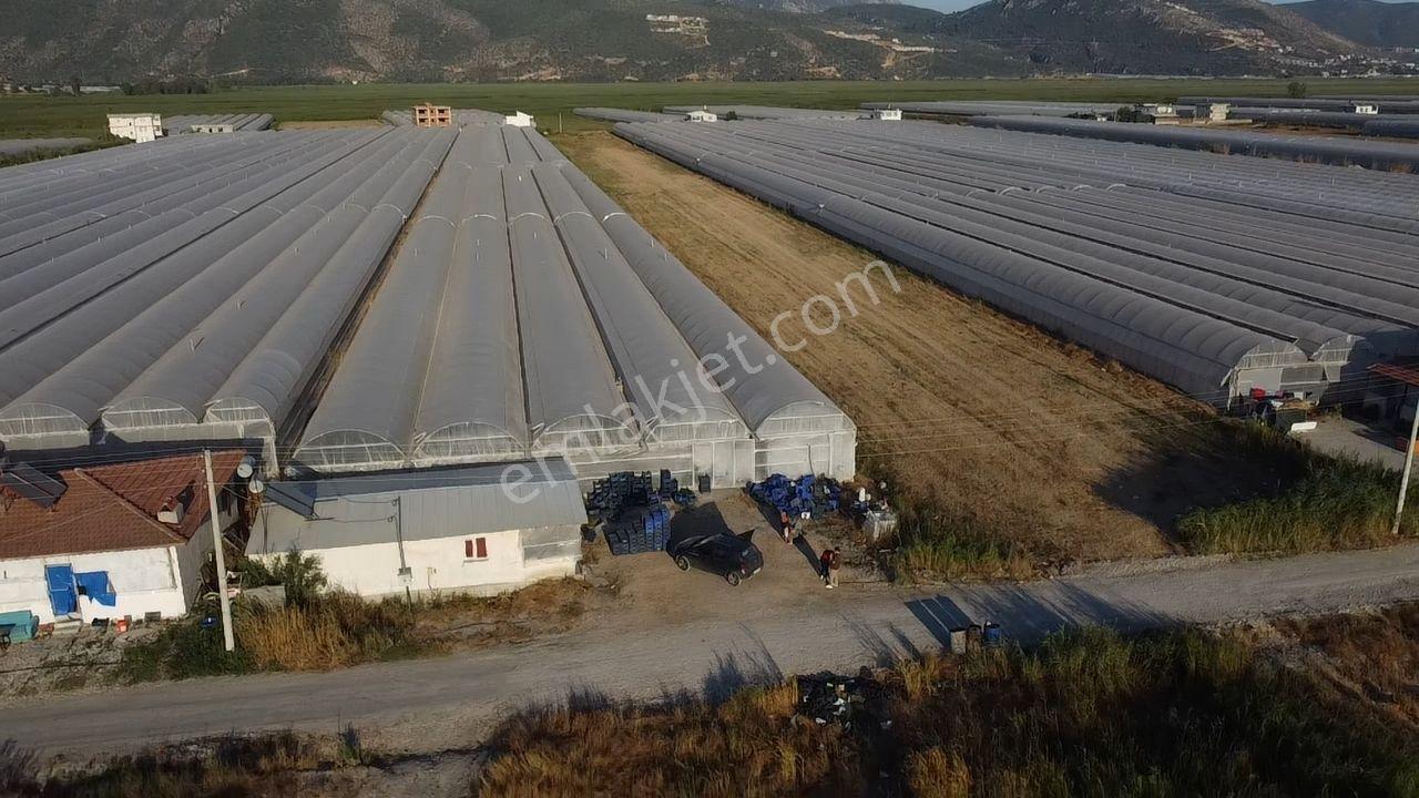 Antalya Kaş Kınık Göçebeler Göl Mevkii 2. Parselde Satılık Sera — fotoğraf 11