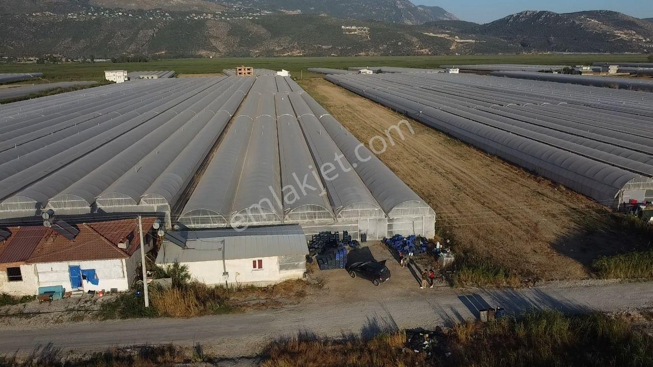 Antalya Kaş Kınık Göçebeler Göl Mevkii 2. Parselde Satılık Sera — fotoğraf 13