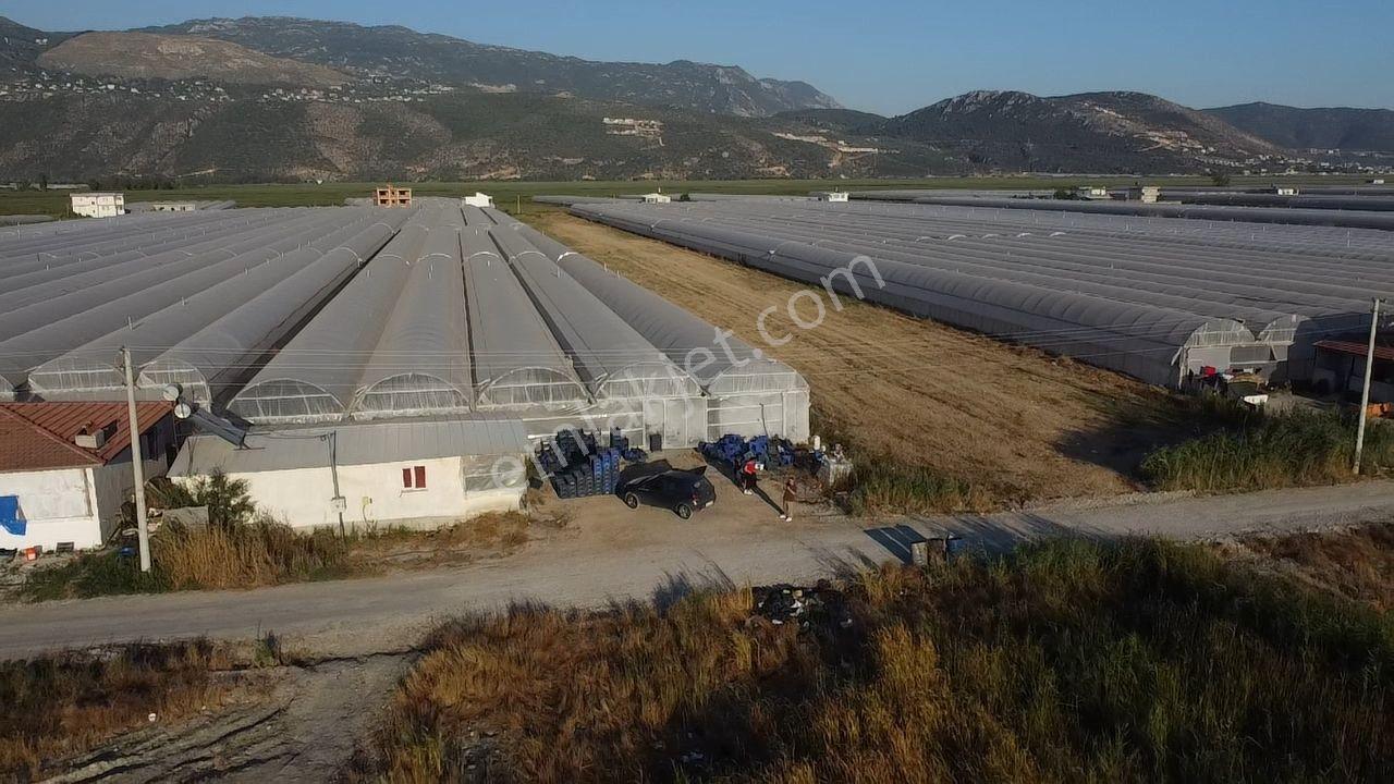 Antalya Kaş Kınık Göçebeler Göl Mevkii 2. Parselde Satılık Sera — fotoğraf 16