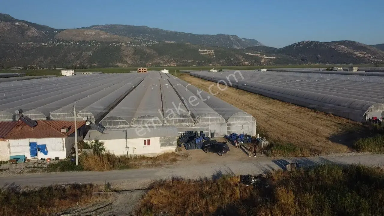 Antalya Kaş Kınık Göçebeler Göl Mevkii 2. Parselde Satılık Sera — fotoğraf 18