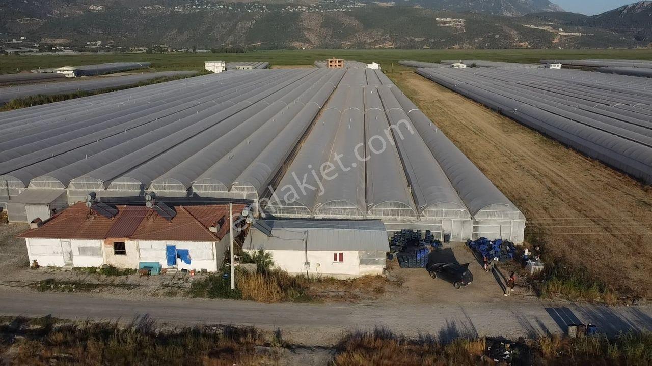 Antalya Kaş Kınık Göçebeler Göl Mevkii 2. Parselde Satılık Sera — fotoğraf 19