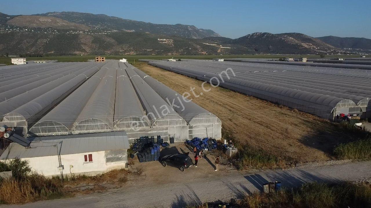 Antalya Kaş Kınık Göçebeler Göl Mevkii 2. Parselde Satılık Sera — fotoğraf 21