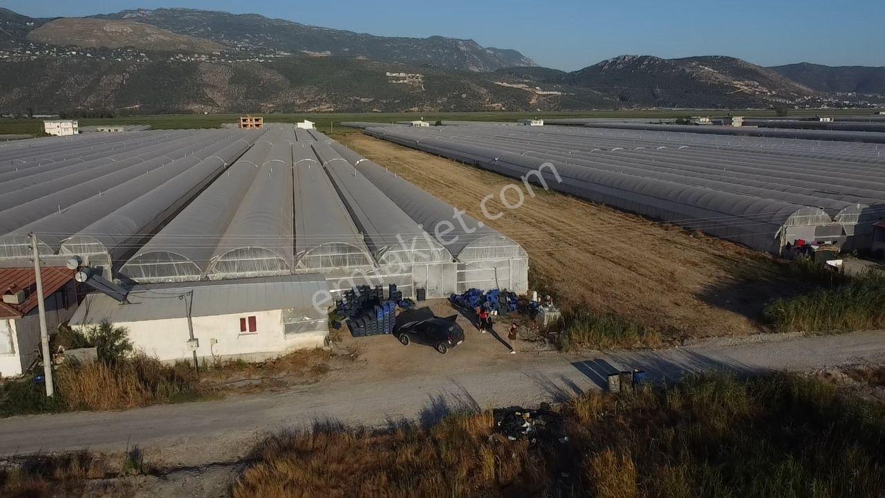 Antalya Kaş Kınık Göçebeler Göl Mevkii 2. Parselde Satılık Sera — fotoğraf 22