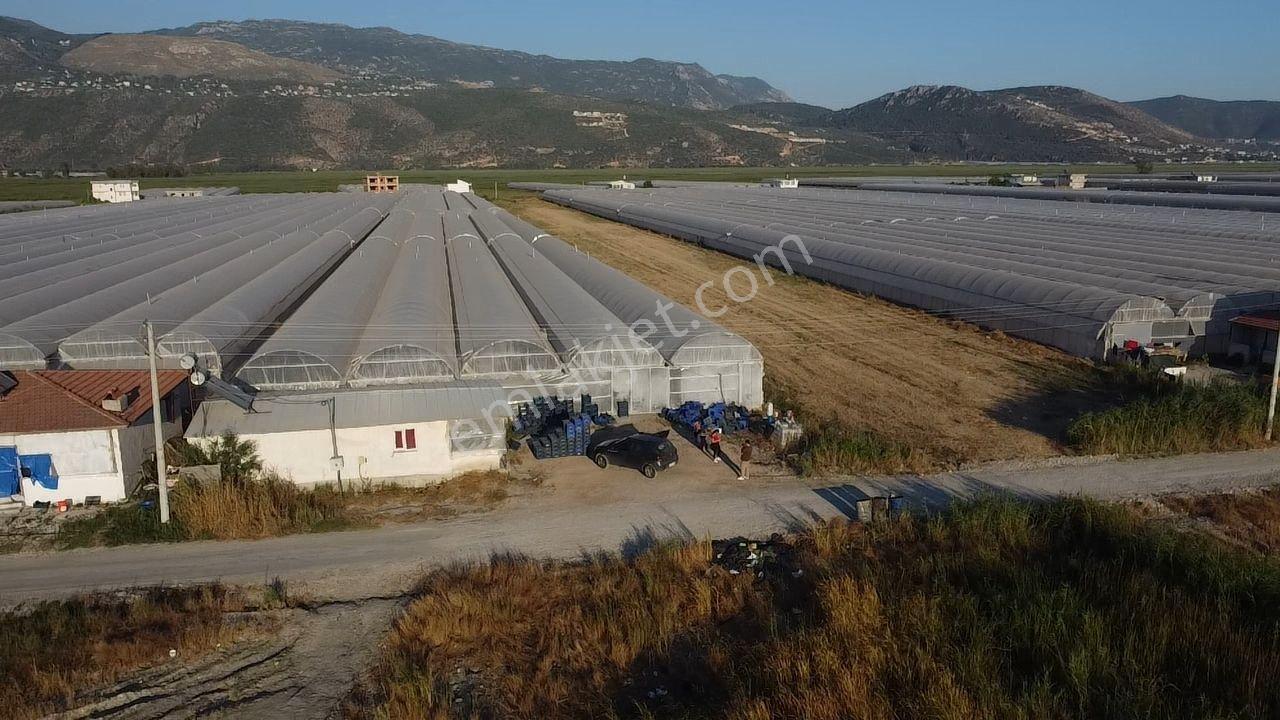 Antalya Kaş Kınık Göçebeler Göl Mevkii 2. Parselde Satılık Sera — fotoğraf 24