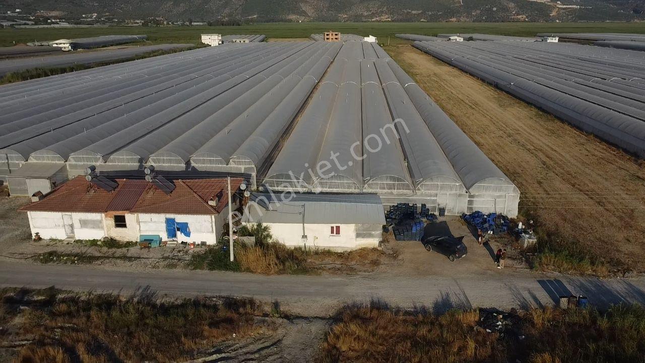 Antalya Kaş Kınık Göçebeler Göl Mevkii 2. Parselde Satılık Sera — fotoğraf 25