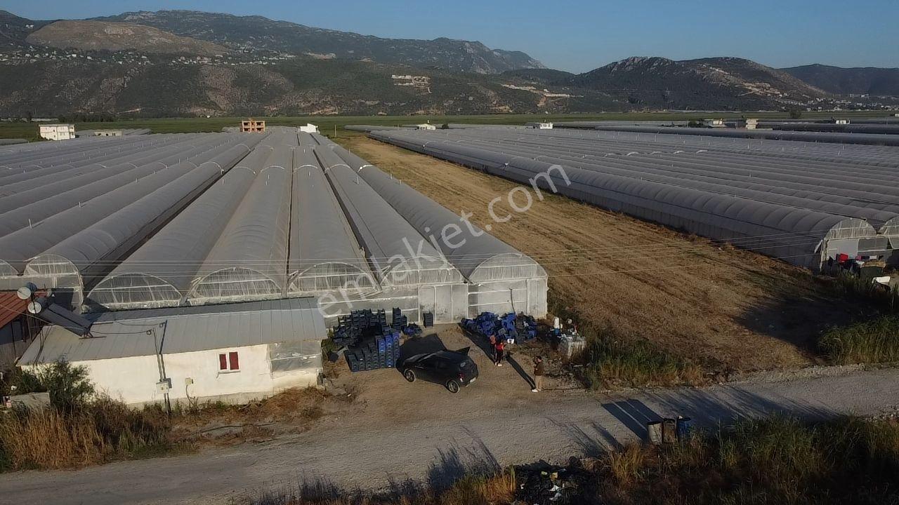 Antalya Kaş Kınık Göçebeler Göl Mevkii 2. Parselde Satılık Sera — fotoğraf 26