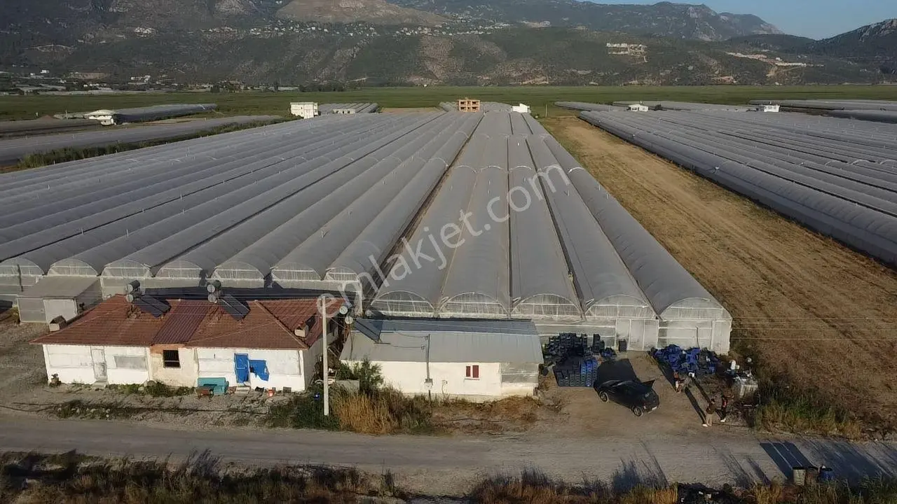 Antalya Kaş Kınık Göçebeler Göl Mevkii 2. Parselde Satılık Sera — fotoğraf 28