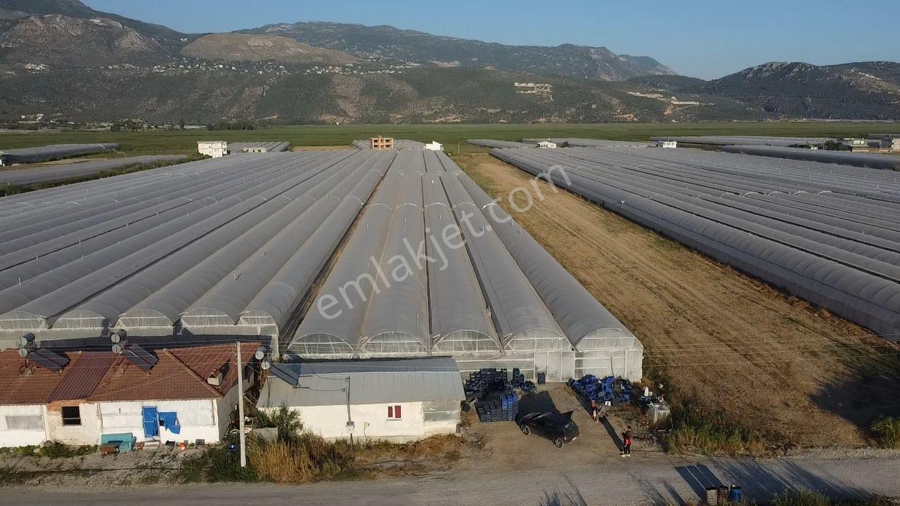 Antalya Kaş Kınık Göçebeler Göl Mevkii 2. Parselde Satılık Sera — fotoğraf 29