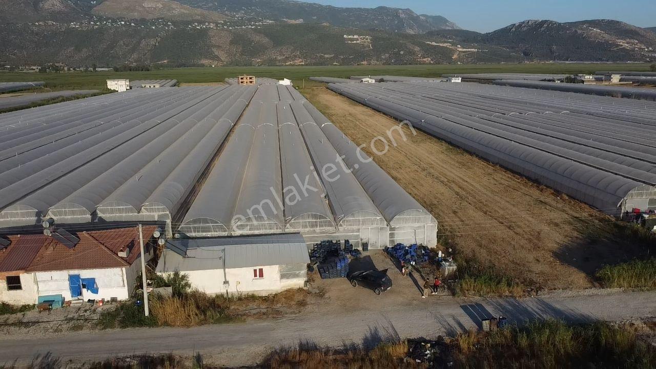 Antalya Kaş Kınık Göçebeler Göl Mevkii 2. Parselde Satılık Sera — fotoğraf 30