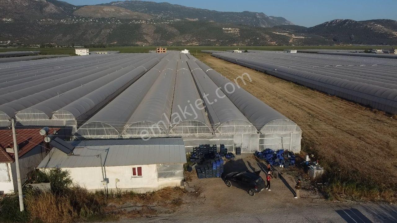 Antalya Kaş Kınık Göçebeler Göl Mevkii 2. Parselde Satılık Sera — fotoğraf 31