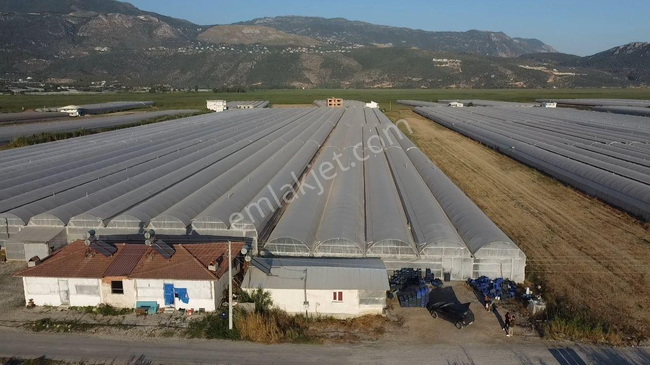 Antalya Kaş Kınık Göçebeler Göl Mevkii 2. Parselde Satılık Sera — fotoğraf 32