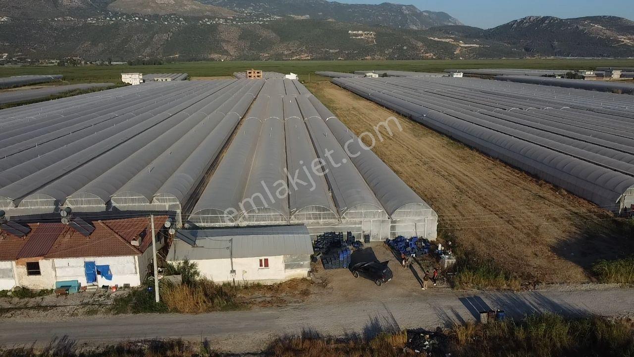 Antalya Kaş Kınık Göçebeler Göl Mevkii 2. Parselde Satılık Sera — fotoğraf 33