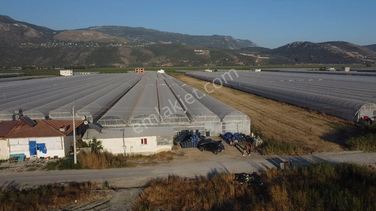 Antalya Kaş Kınık Göçebeler Göl Mevkii 2. Parselde Satılık Sera — fotoğraf 34