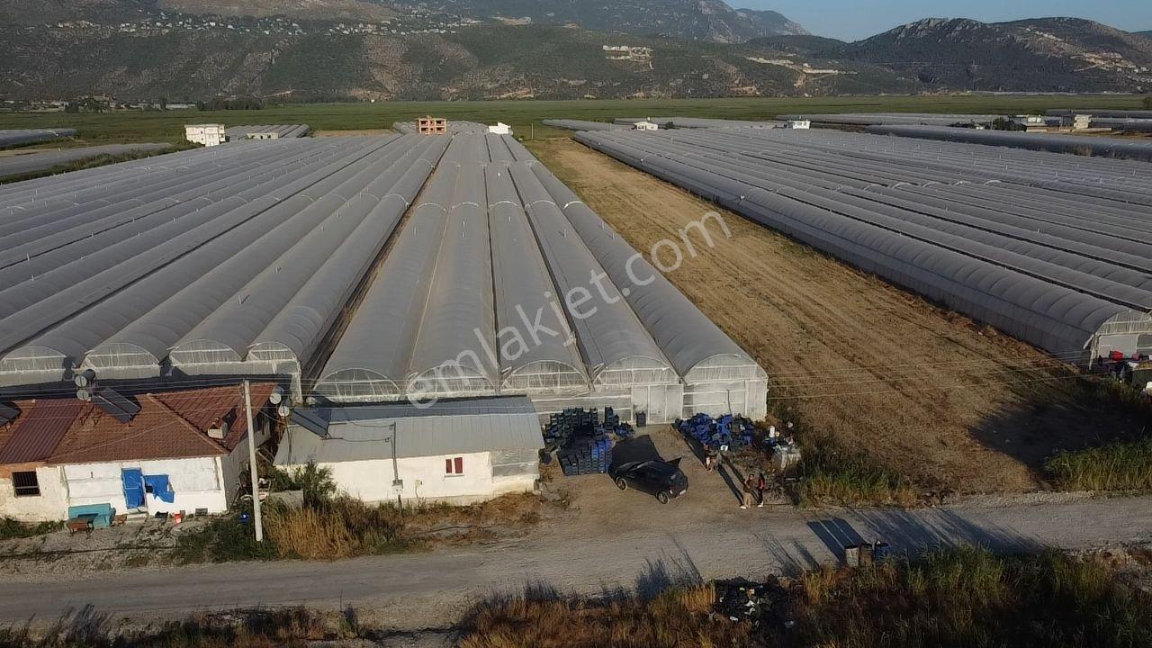 Antalya Kaş Kınık Göçebeler Göl Mevkii 2. Parselde Satılık Sera — fotoğraf 35