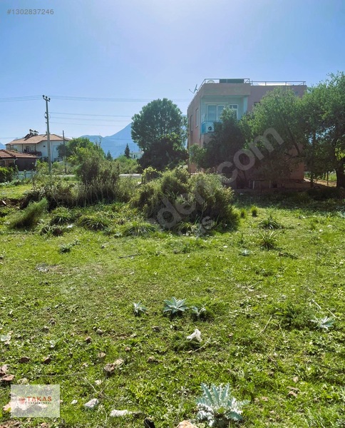 Yunus Emre Caddesi Üzeri 307m² Konut Arsası Satılık — fotoğraf 9