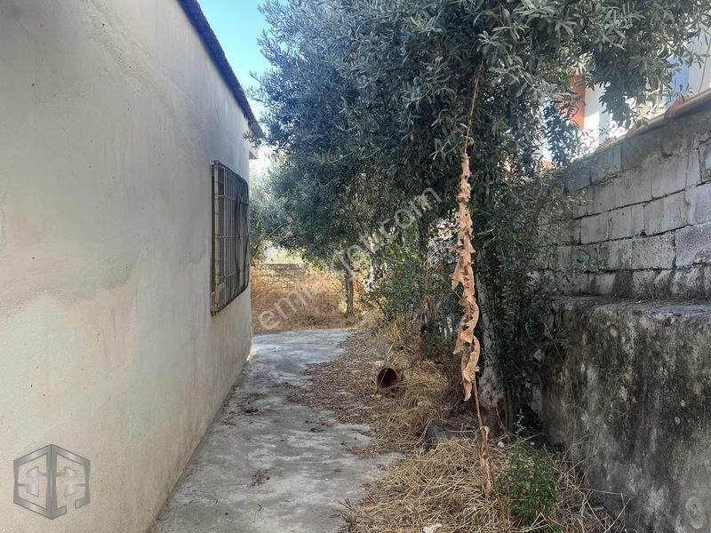 İzmir Selçuk'ta 14 Mayıs Mahallesi'nde 260m2 — fotoğraf 2