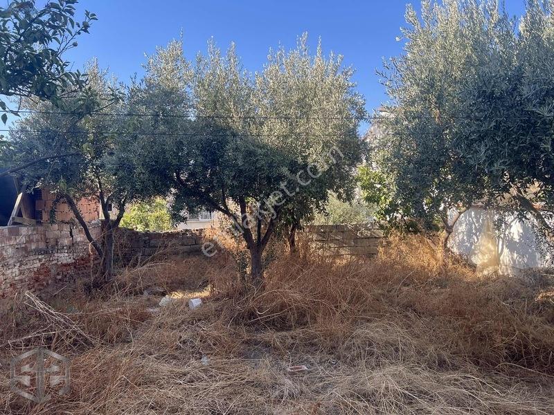 İzmir Selçuk'ta 14 Mayıs Mahallesi'nde 260m2 — fotoğraf 3