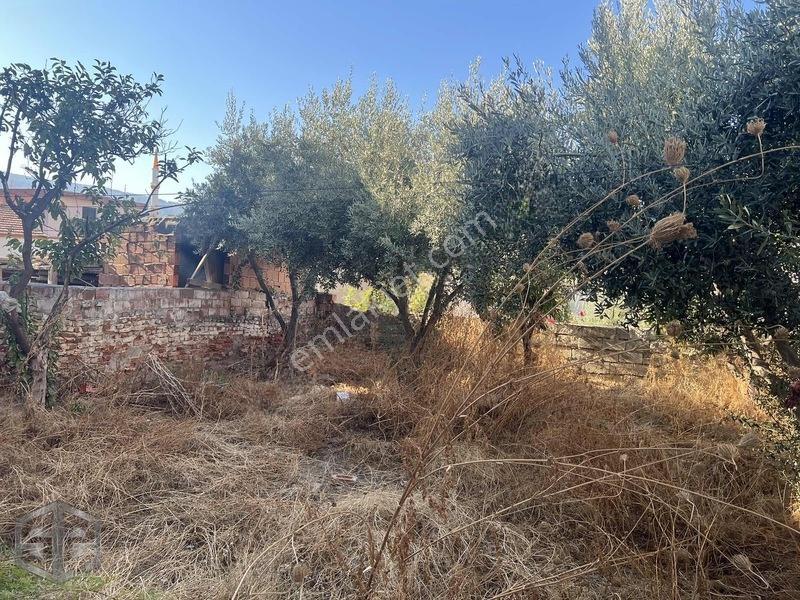 İzmir Selçuk'ta 14 Mayıs Mahallesi'nde 260m2 — fotoğraf 5