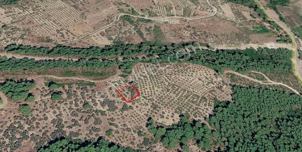 Seydikemer Atlı Dere’De Doğayla İç İçe 984 M² Yatırımlık Tarla