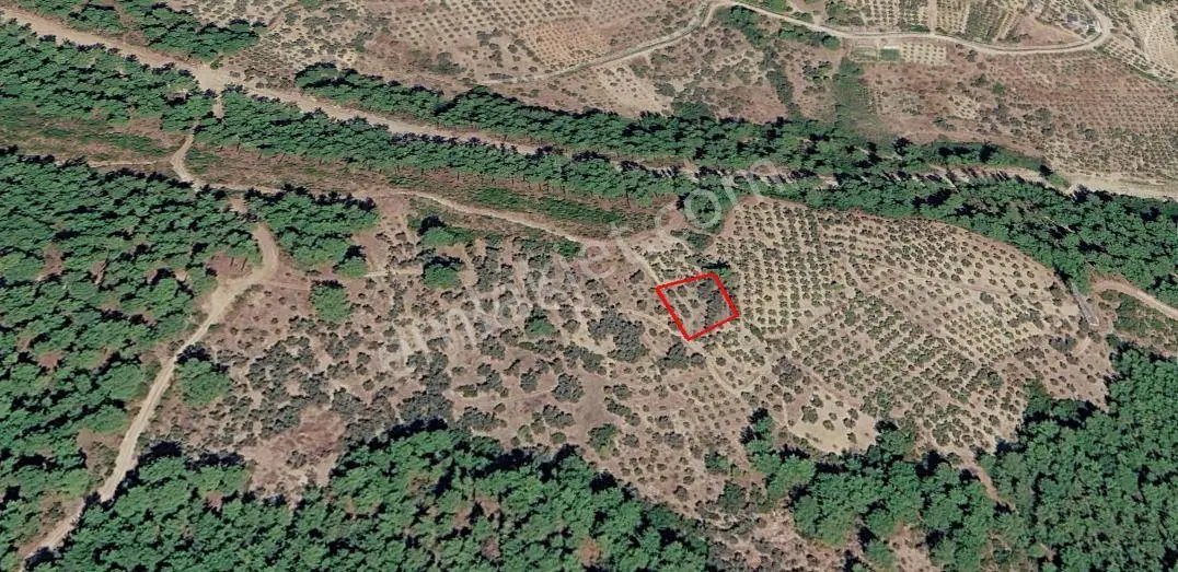 Seydikemer Atlı Dere’de Doğayla İç İçe 984 M² Yatırımlık Tarla — fotoğraf 2