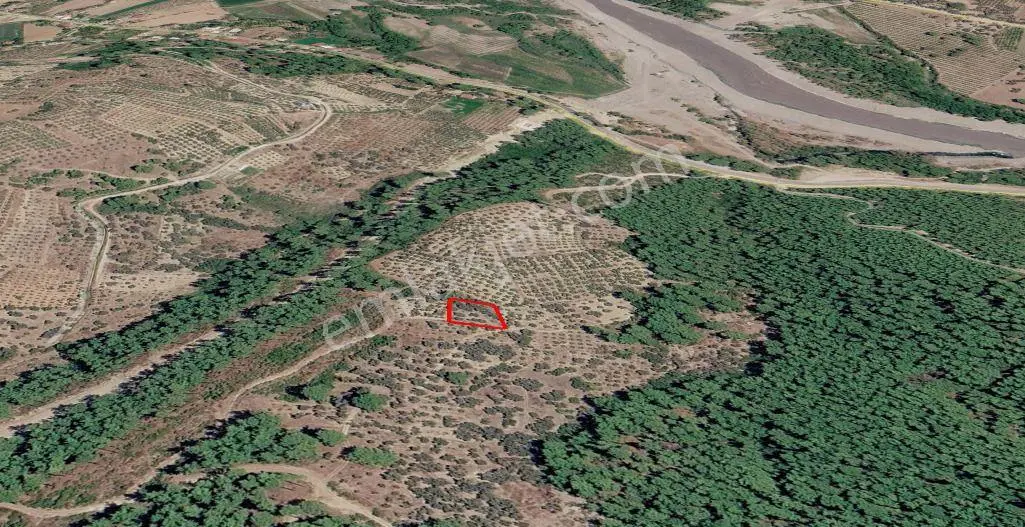 Seydikemer Atlı Dere’de Doğayla İç İçe 984 M² Yatırımlık Tarla — fotoğraf 3