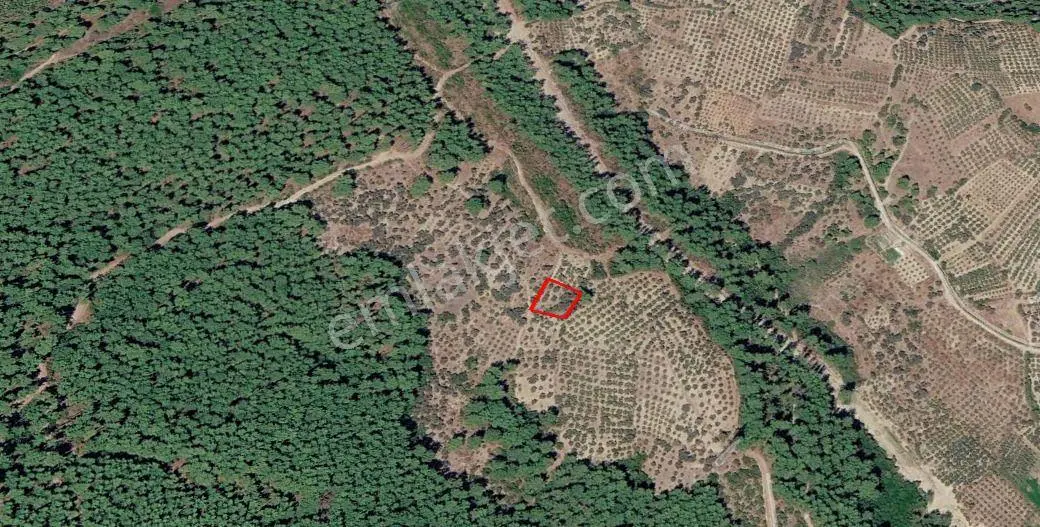 Seydikemer Atlı Dere’de Doğayla İç İçe 984 M² Yatırımlık Tarla — fotoğraf 4