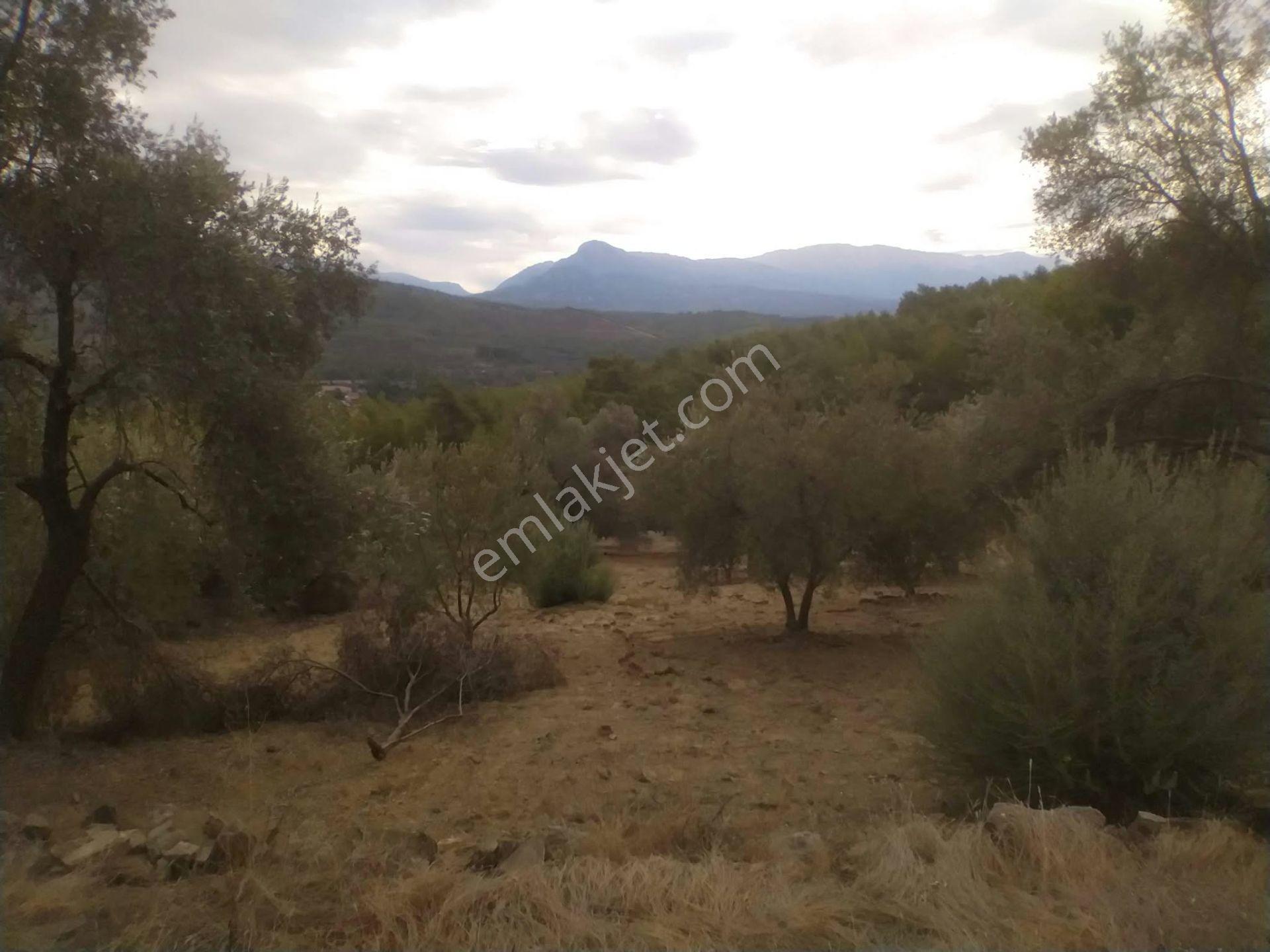 Seydikemer Atlı Dere’de Doğayla İç İçe 984 M² Yatırımlık Tarla — fotoğraf 8
