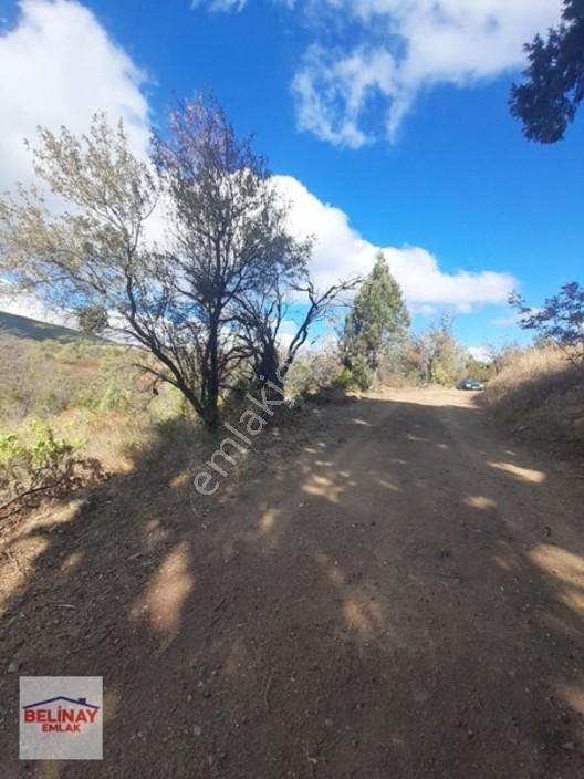 &Bilecik Merkeze 3.Km Mesafede Resmi Yolu Olan Hobi Bahçesi &