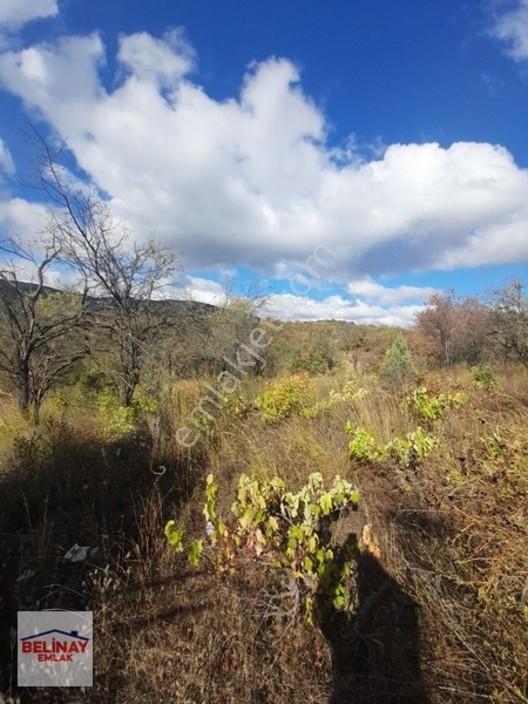 &bilecik Merkeze 3.km Mesafede Resmi Yolu Olan Hobi Bahçesi & — fotoğraf 2