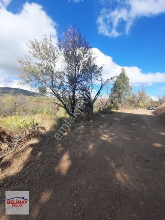 &bilecik Merkeze 3.km Mesafede Resmi Yolu Olan Hobi Bahçesi & — fotoğraf 3