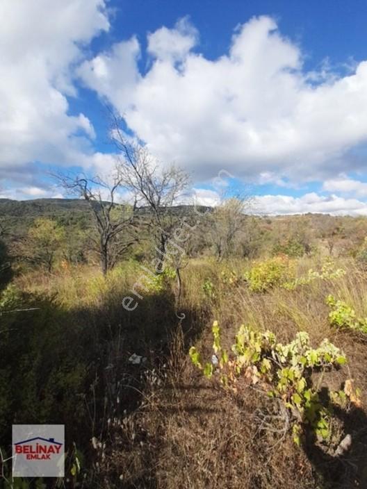 &bilecik Merkeze 3.km Mesafede Resmi Yolu Olan Hobi Bahçesi & — fotoğraf 4