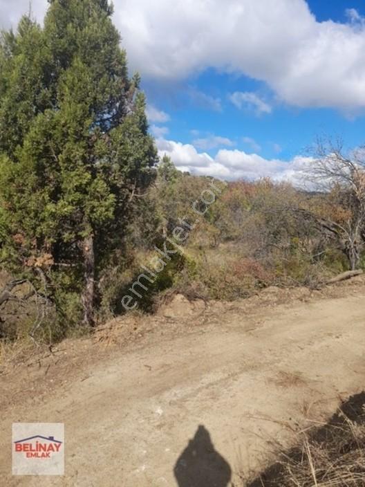 &bilecik Merkeze 3.km Mesafede Resmi Yolu Olan Hobi Bahçesi & — fotoğraf 6