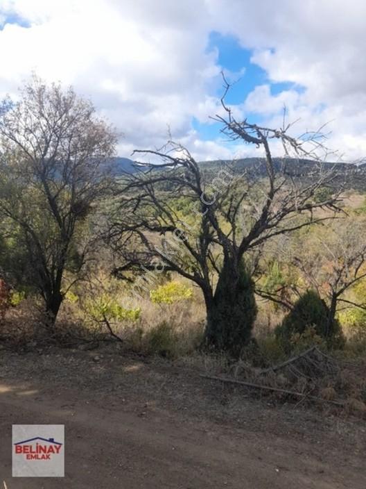 &bilecik Merkeze 3.km Mesafede Resmi Yolu Olan Hobi Bahçesi & — fotoğraf 9