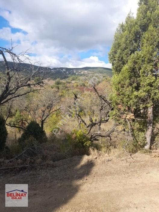 &bilecik Merkeze 3.km Mesafede Resmi Yolu Olan Hobi Bahçesi & — fotoğraf 13