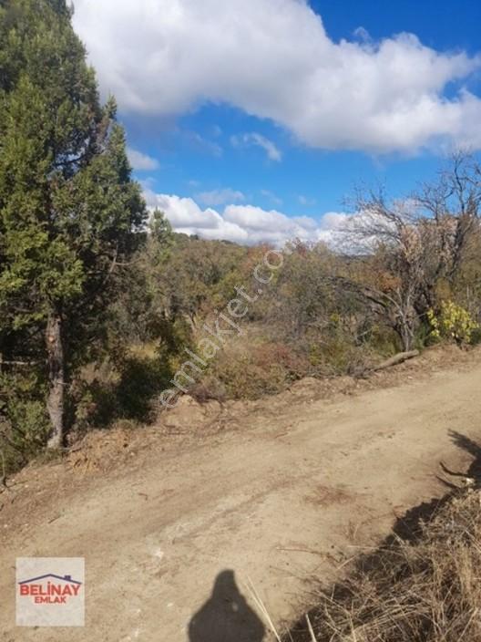 &bilecik Merkeze 3.km Mesafede Resmi Yolu Olan Hobi Bahçesi & — fotoğraf 15