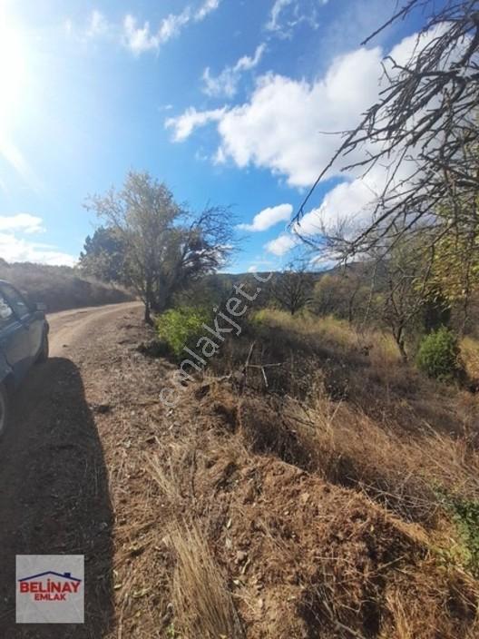 &bilecik Merkeze 3.km Mesafede Resmi Yolu Olan Hobi Bahçesi & — fotoğraf 16