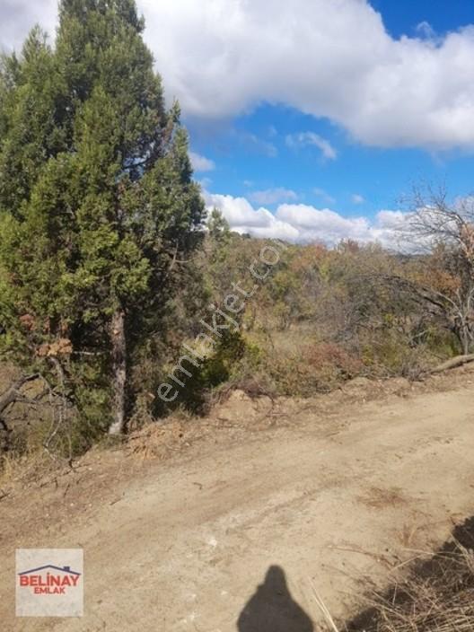 &bilecik Merkeze 3.km Mesafede Resmi Yolu Olan Hobi Bahçesi & — fotoğraf 17
